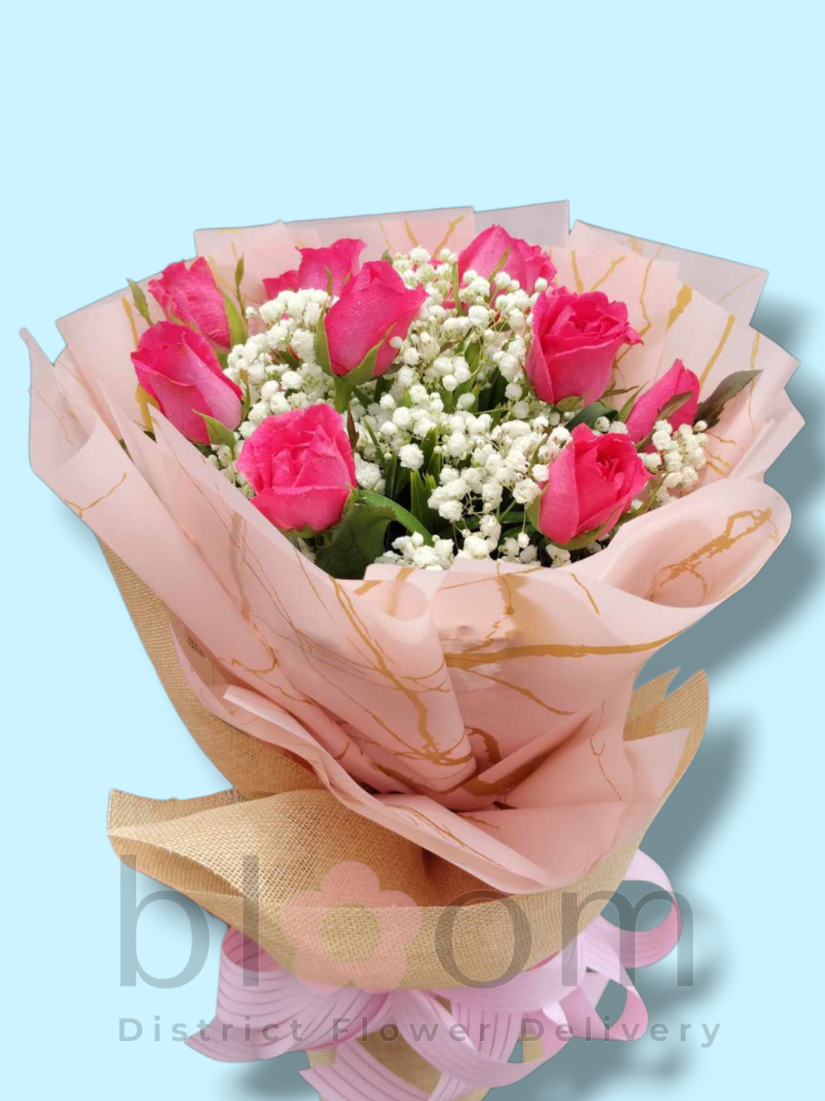 1 dozen Pink Roses