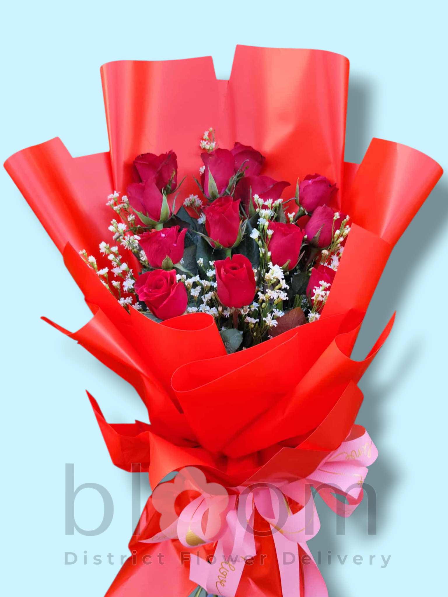 1 dozen Red Roses