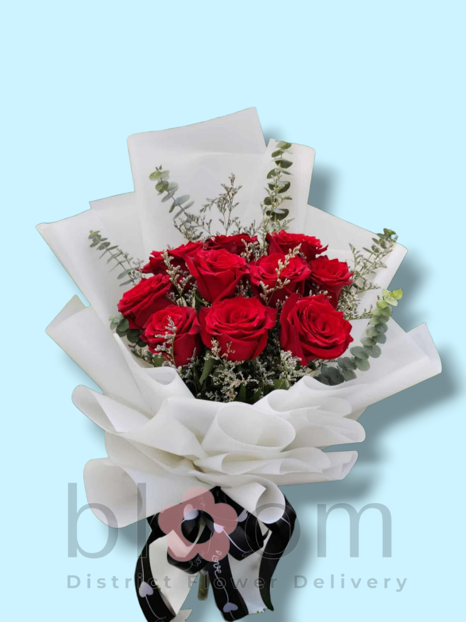 1 dozen Imported Red Roses