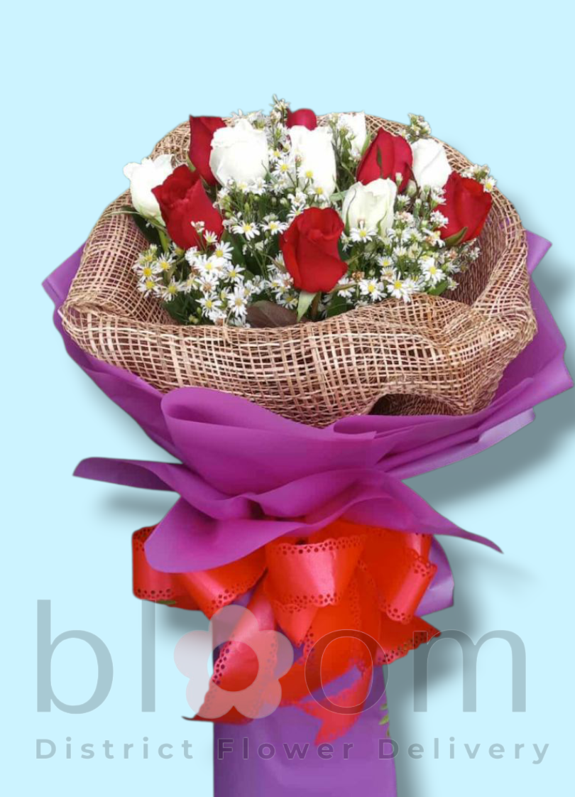 1 Dozen Red and White Roses