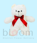 14 inches Teddy Bear